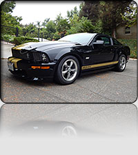 2006 Shelby Hertz GT-H